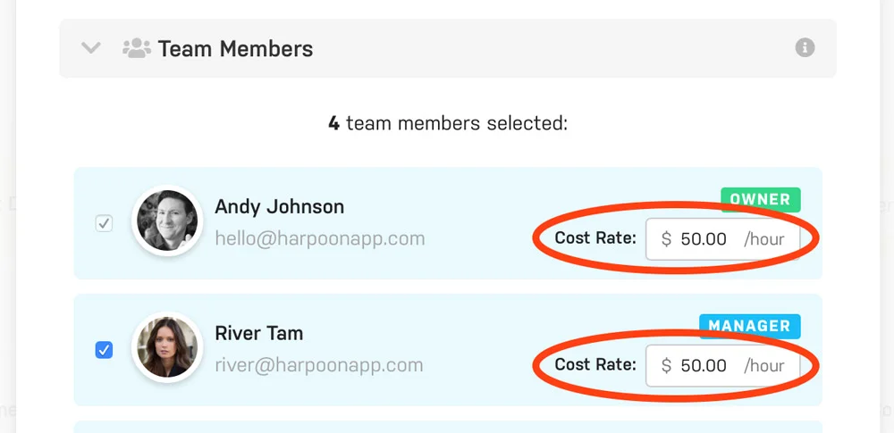 Harpoon Project Cost Rate