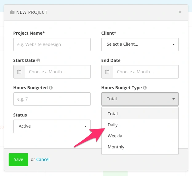 Project Hours Budget Type
