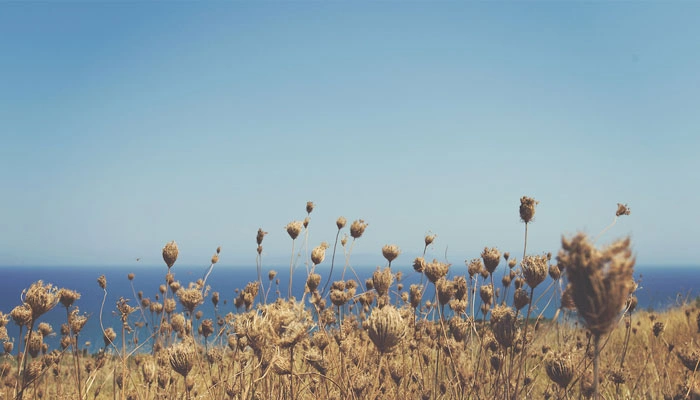 How to Respectfully Quit Your Day Job