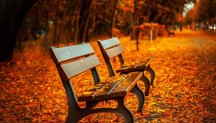 How Can I Attract More Freelance Clients?