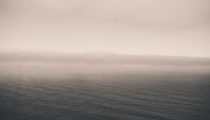 The Time I Bid Too Low and Lost the Job