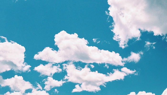 5 Cloud Based Task Management Tools to Boost Your Productivity