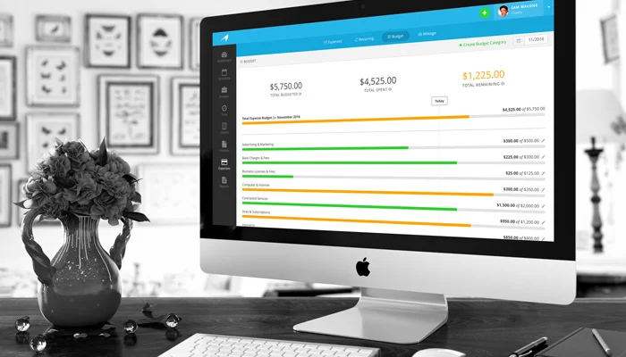 New Feature: Expense Budgeting
