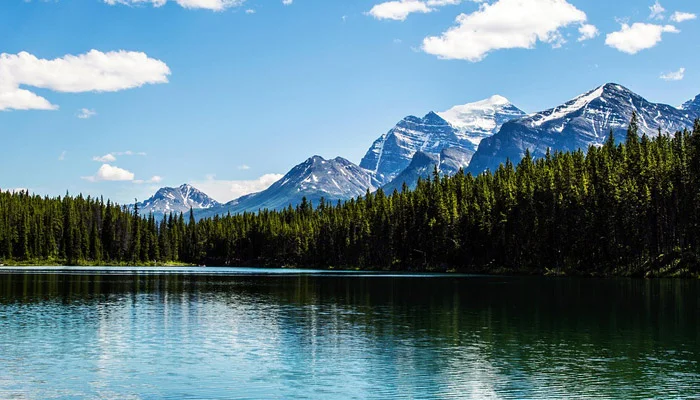 Taxes for Freelancers in Canada