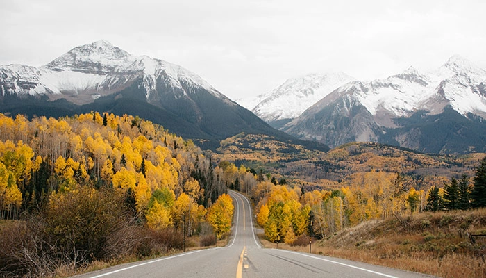 New Feature: Dynamic Monthly Goals