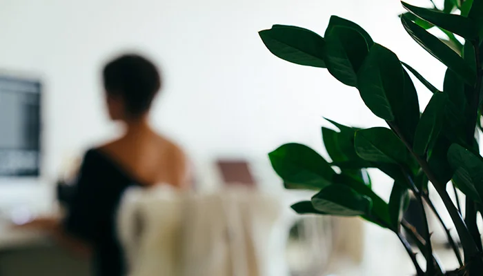 New Feature: Payments Report and Tax Filters