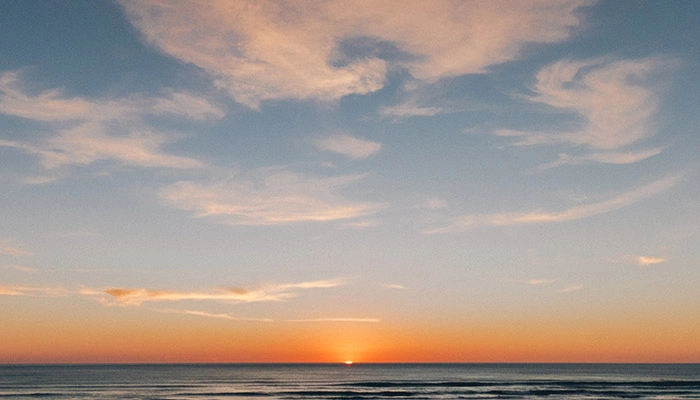 New Feature: More Flexible Taxes for Invoices and Expenses