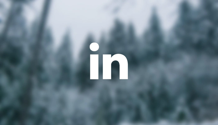 Developing a LinkedIn Marketing Strategy