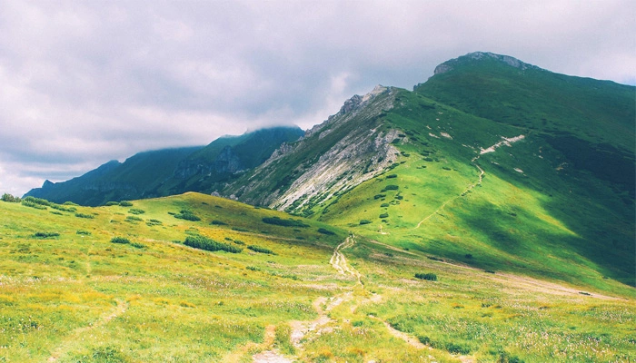 Building Up Your Freelance Career