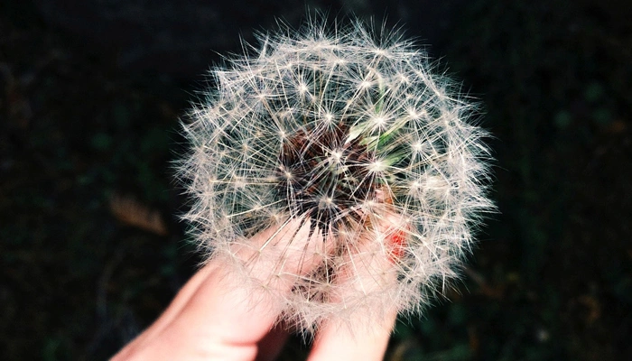 Freelancing with Children